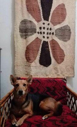 Emilia en el sofá
