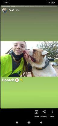 Hooch (Protectora CAAD-Terrassa)