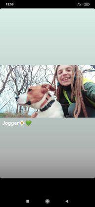 Jogger (protectora CAAD- Terrassa)