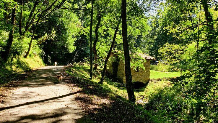 Paseo Terapéutico por Orio