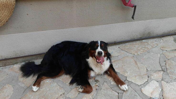 LOLA A MI CARGO HOY