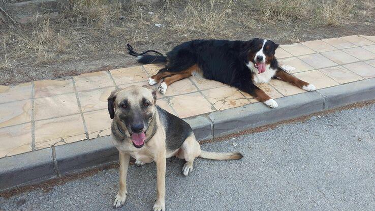 MI NINA CON LOLA HOY