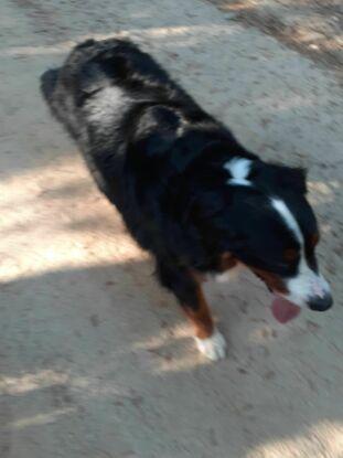 LOLA HOY MONTAÑA