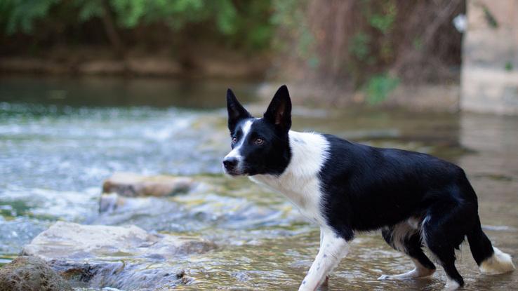 Nos encanta el rio!