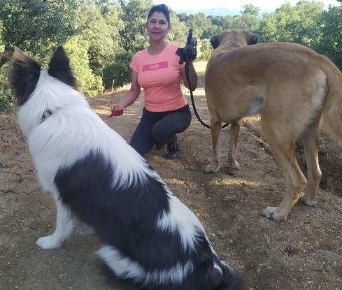 Paseos por el campo con seguridad