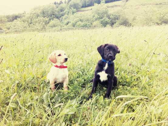 Nela y Noa, las traviesas de un amigo.