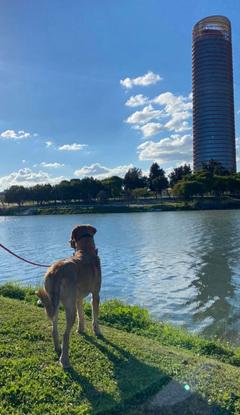 Paseando por el río