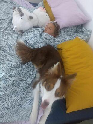 Nura hermosa