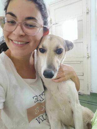 Bonita, una perrita rescatada que di en adopción responsable y voy a visitar siempre