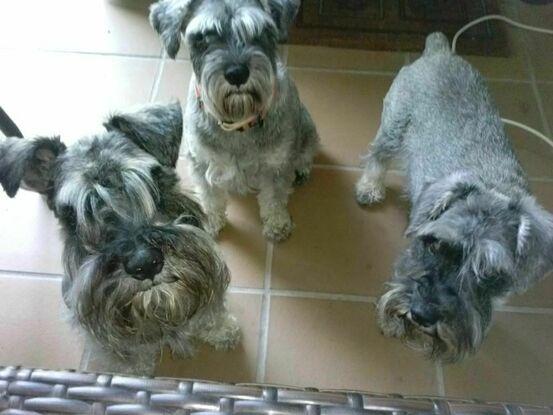 Barlo con su madre Gin y su hermana Bombay