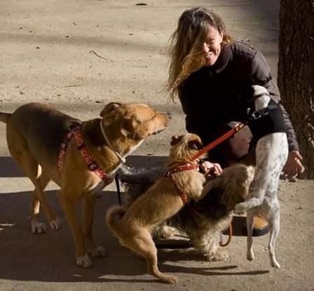 De paseo con los peques.