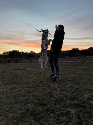 Paseos por la zona