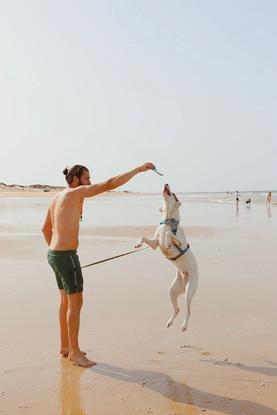 Playa
