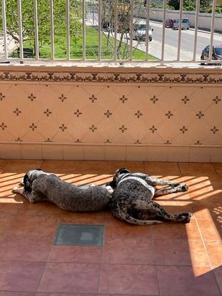 Terraza pequeña🌞