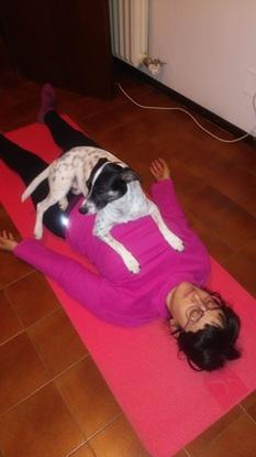 Mi perro haciendo yoga