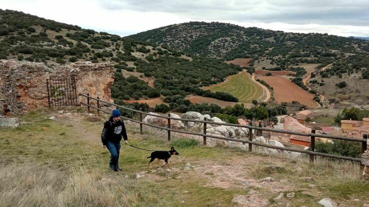 Cachorrita visita el campo por primera vez