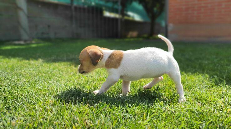 La pequeña Kairi