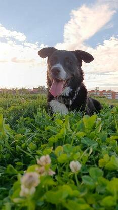 En el parque al lado de casa