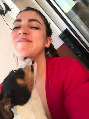 Tico 💚