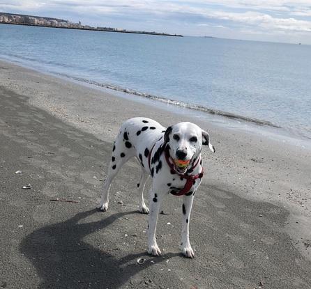 Maggie  en  Playa Tamarit StaPolapinet