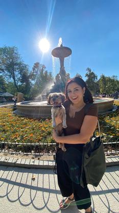 Ares en su paseo por parque del Retiro