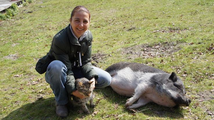 Cerdita Peach y Grissou en Les Landes, Francia