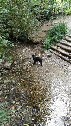 Paseos por la naturaleza