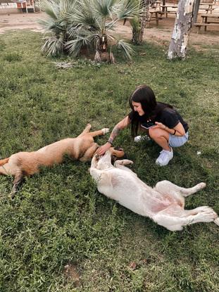 Perritos de granjas protectoras🐾♥️