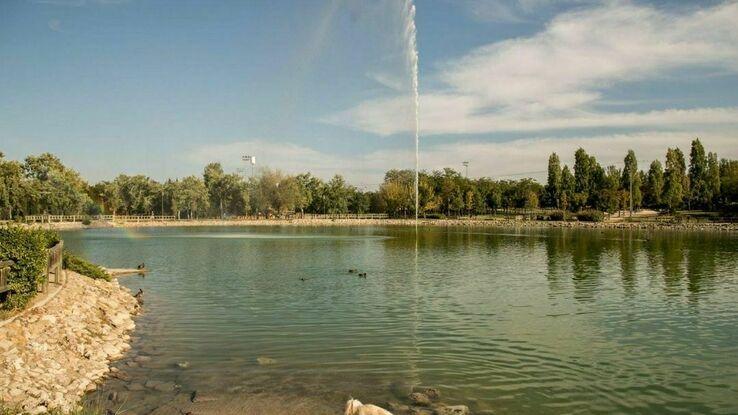 El Parque de las cruces, donde tus perros podrán salir a correr y jugar con otros perros durante horas