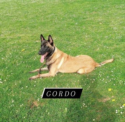 Gordo