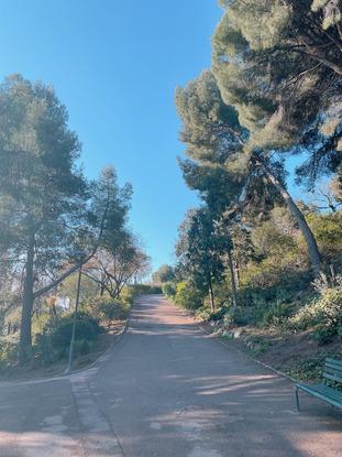 Parque el Putxet donde paseamos a Mia todos los días!