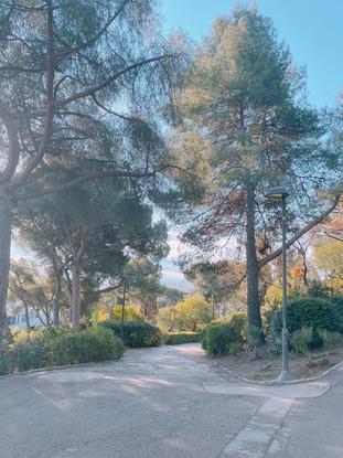 Parque el Putxet donde paseamos a Mia todos los días!