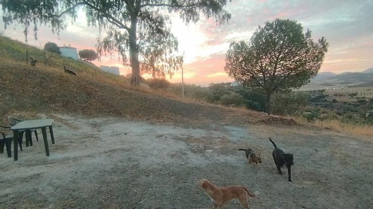 Atardecer desde  casa