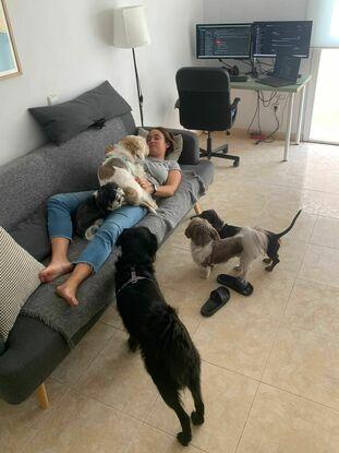 Descansando en grupo 😅