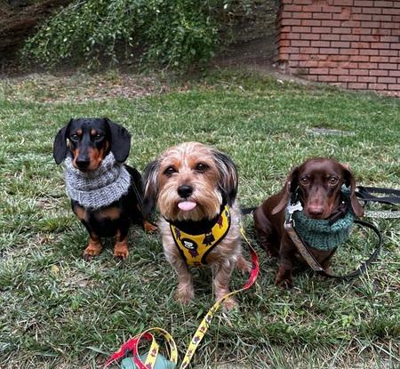 Morti, Zeus y Mocca