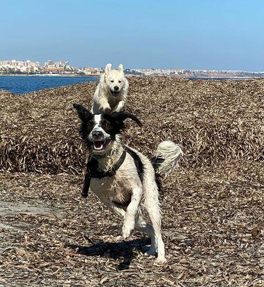 En la playa