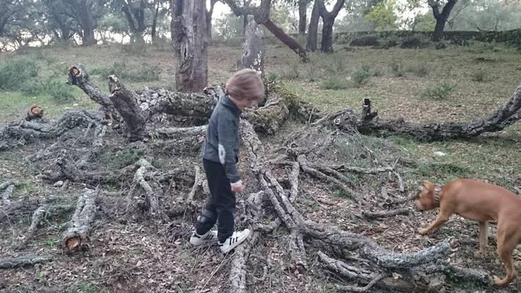 El campo dónde disfrutar de la naturaleza.