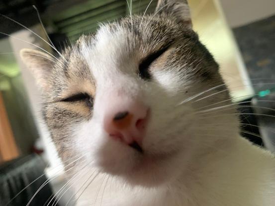 Luna la odiosa