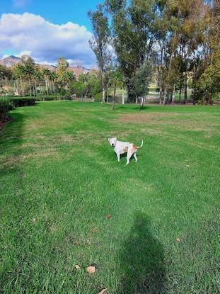 Parque cataleya