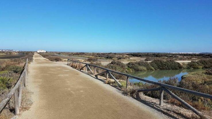 Estas son las marismas cerca de mi casa