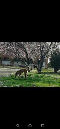 Parque 2