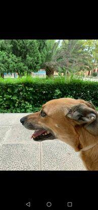 Parque 1