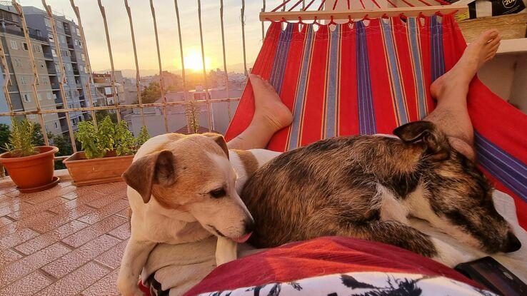 Tara y Lola