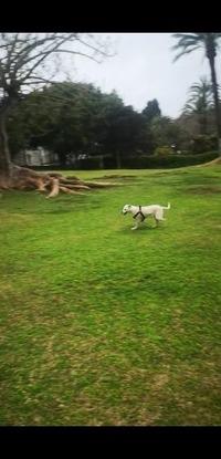 Paseo en parque de casa