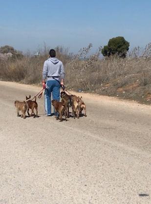 Paseos