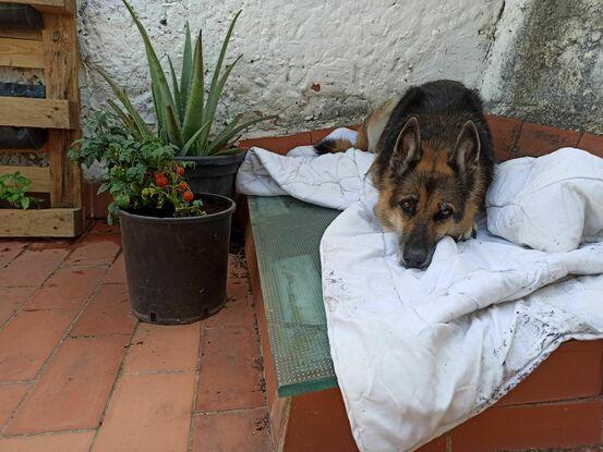 La terraza de casa