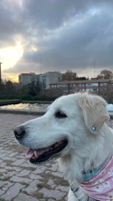 Nova en el parque doña guiomar