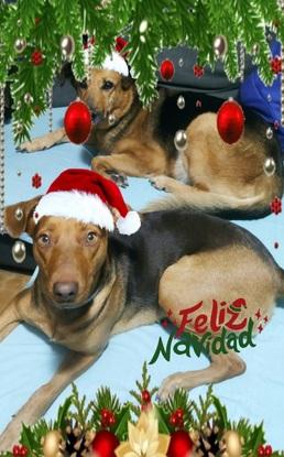 Navidad familiar!