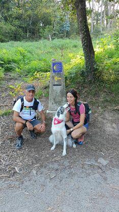 Camino Perregrino