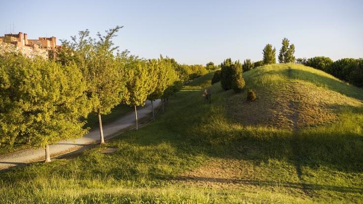 Hermosas colinas donde pueden estar sueltos y cansarse subiéndolas y bajandolas